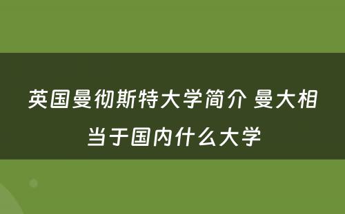 英国曼彻斯特大学简介 曼大相当于国内什么大学