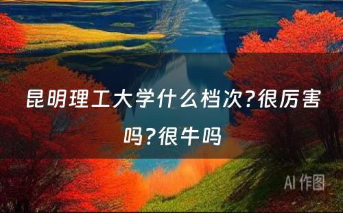 昆明理工大学什么档次?很厉害吗?很牛吗