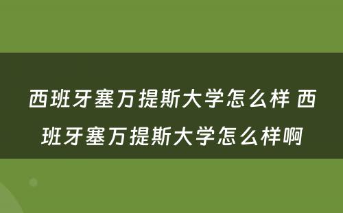 西班牙塞万提斯大学怎么样 西班牙塞万提斯大学怎么样啊