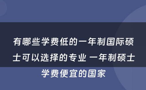 有哪些学费低的一年制国际硕士可以选择的专业 一年制硕士学费便宜的国家
