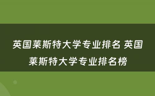 英国莱斯特大学专业排名 英国莱斯特大学专业排名榜