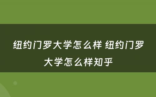 纽约门罗大学怎么样 纽约门罗大学怎么样知乎