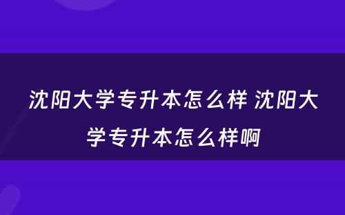 沈阳大学专升本怎么样 沈阳大学专升本怎么样啊