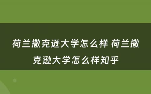 荷兰撒克逊大学怎么样 荷兰撒克逊大学怎么样知乎