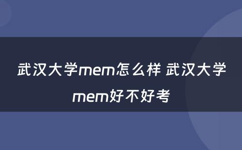 武汉大学mem怎么样 武汉大学mem好不好考