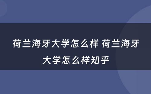 荷兰海牙大学怎么样 荷兰海牙大学怎么样知乎