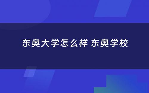 东奥大学怎么样 东奥学校