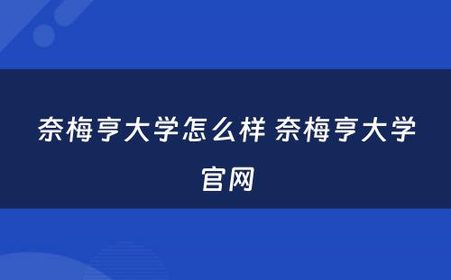 奈梅亨大学怎么样 奈梅亨大学官网