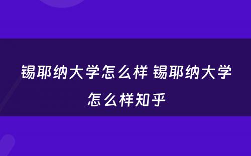 锡耶纳大学怎么样 锡耶纳大学怎么样知乎