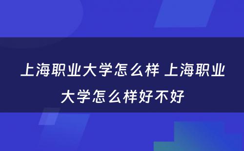 上海职业大学怎么样 上海职业大学怎么样好不好