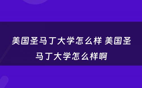 美国圣马丁大学怎么样 美国圣马丁大学怎么样啊