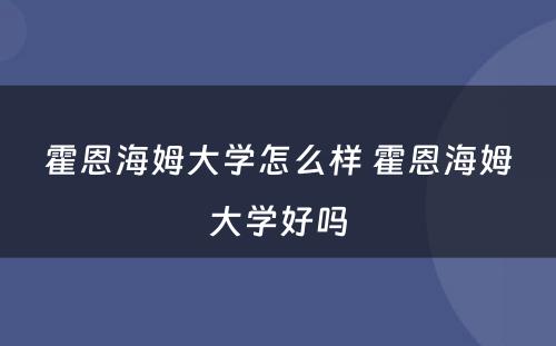 霍恩海姆大学怎么样 霍恩海姆大学好吗