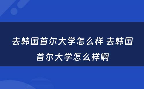 去韩国首尔大学怎么样 去韩国首尔大学怎么样啊