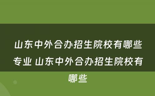 山东中外合办招生院校有哪些专业 山东中外合办招生院校有哪些