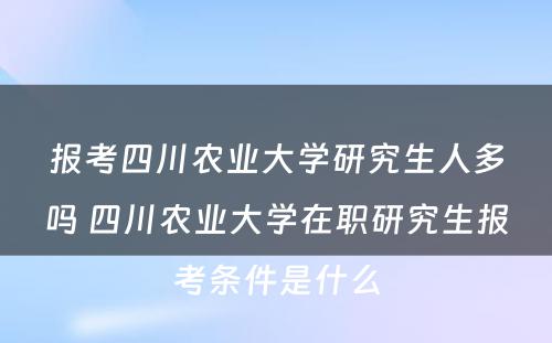 报考四川农业大学研究生人多吗 四川农业大学在职研究生报考条件是什么