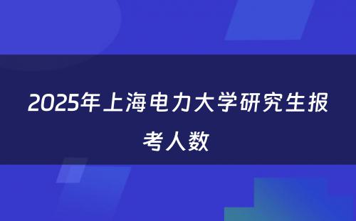 2025年上海电力大学研究生报考人数 