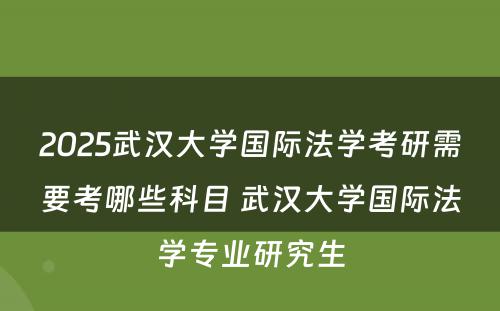 2025武汉大学国际法学考研需要考哪些科目 武汉大学国际法学专业研究生