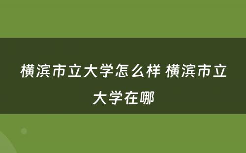 横滨市立大学怎么样 横滨市立大学在哪