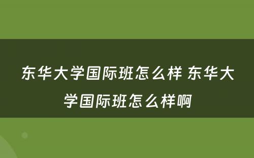 东华大学国际班怎么样 东华大学国际班怎么样啊