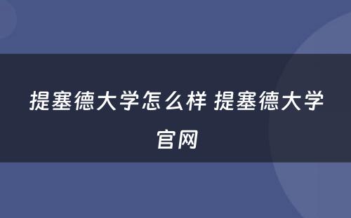 提塞德大学怎么样 提塞德大学官网