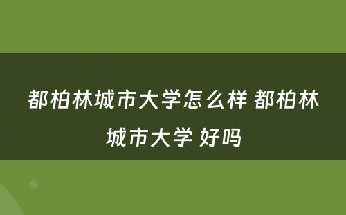 都柏林城市大学怎么样 都柏林城市大学 好吗