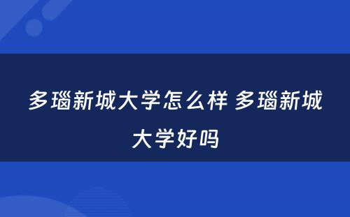 多瑙新城大学怎么样 多瑙新城大学好吗