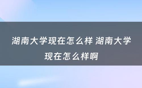 湖南大学现在怎么样 湖南大学现在怎么样啊