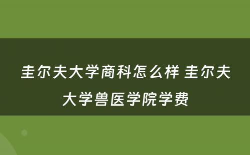 圭尔夫大学商科怎么样 圭尔夫大学兽医学院学费