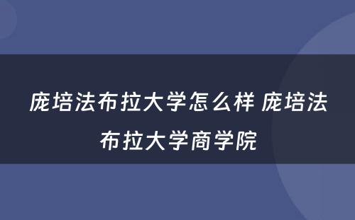 庞培法布拉大学怎么样 庞培法布拉大学商学院