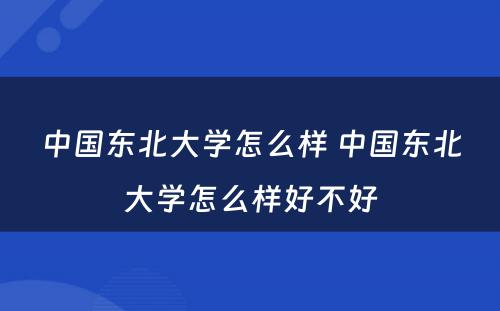 中国东北大学怎么样 中国东北大学怎么样好不好