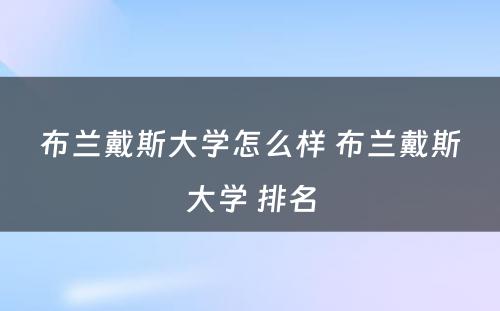 布兰戴斯大学怎么样 布兰戴斯大学 排名