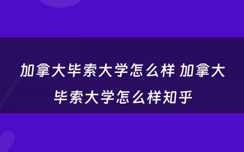 加拿大毕索大学怎么样 加拿大毕索大学怎么样知乎