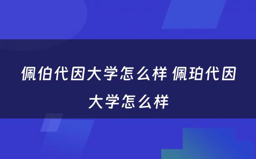 佩伯代因大学怎么样 佩珀代因大学怎么样