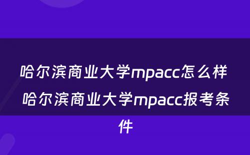 哈尔滨商业大学mpacc怎么样 哈尔滨商业大学mpacc报考条件