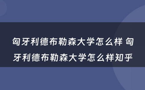 匈牙利德布勒森大学怎么样 匈牙利德布勒森大学怎么样知乎