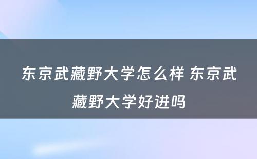 东京武藏野大学怎么样 东京武藏野大学好进吗