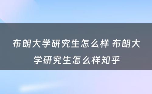 布朗大学研究生怎么样 布朗大学研究生怎么样知乎