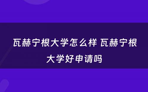 瓦赫宁根大学怎么样 瓦赫宁根大学好申请吗