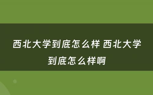 西北大学到底怎么样 西北大学到底怎么样啊