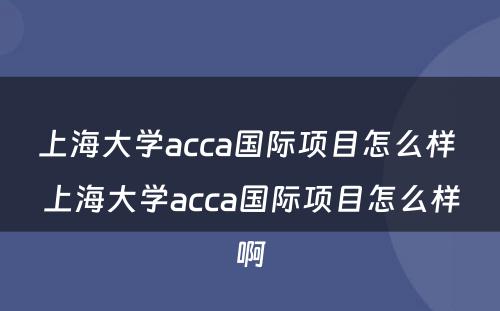 上海大学acca国际项目怎么样 上海大学acca国际项目怎么样啊