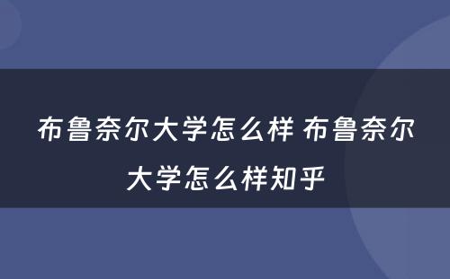 布鲁奈尔大学怎么样 布鲁奈尔大学怎么样知乎