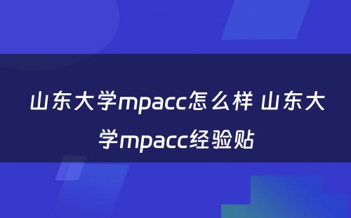 山东大学mpacc怎么样 山东大学mpacc经验贴