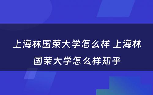 上海林国荣大学怎么样 上海林国荣大学怎么样知乎