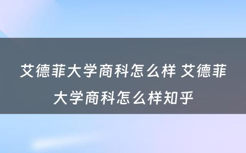 艾德菲大学商科怎么样 艾德菲大学商科怎么样知乎