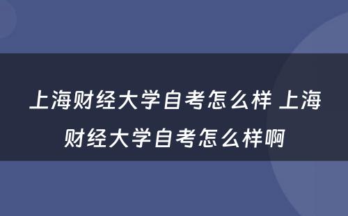 上海财经大学自考怎么样 上海财经大学自考怎么样啊