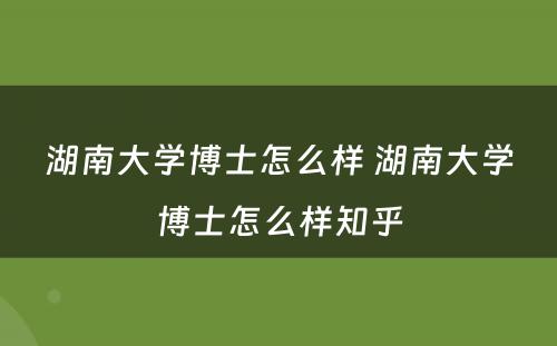 湖南大学博士怎么样 湖南大学博士怎么样知乎