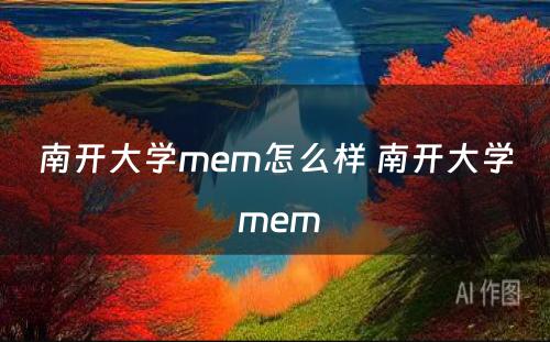 南开大学mem怎么样 南开大学 mem