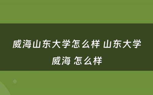 威海山东大学怎么样 山东大学威海 怎么样