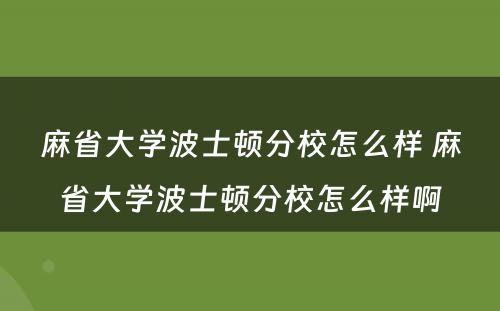 麻省大学波士顿分校怎么样 麻省大学波士顿分校怎么样啊