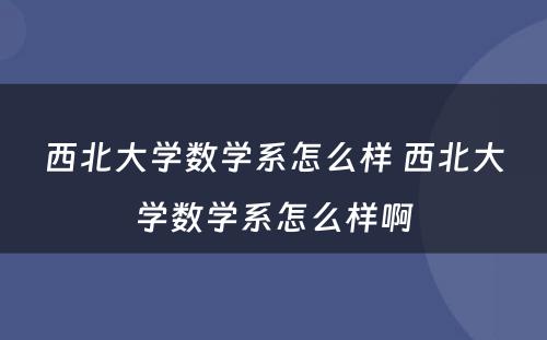 西北大学数学系怎么样 西北大学数学系怎么样啊